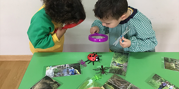 Pedagogía del asombro